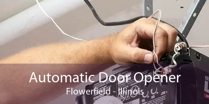 Automatic Door Opener Flowerfield - Illinois