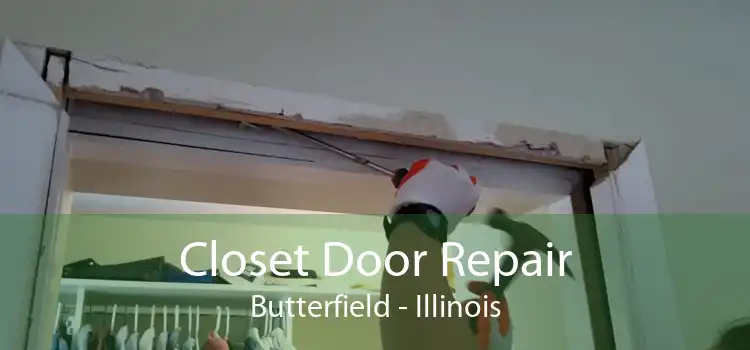 Closet Door Repair Butterfield - Illinois