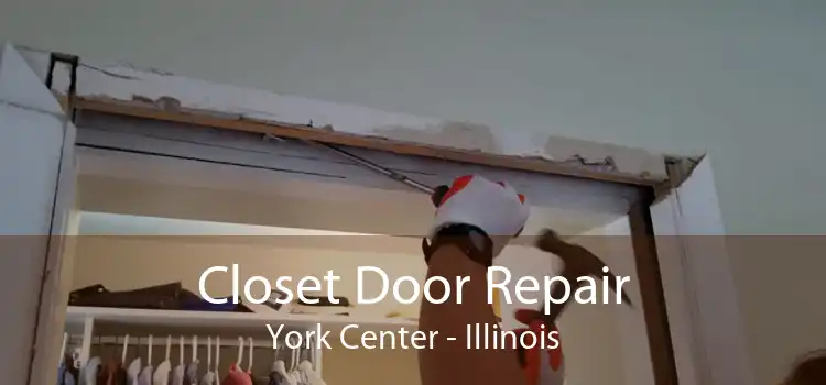 Closet Door Repair York Center - Illinois