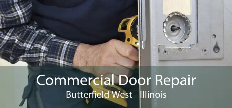 Commercial Door Repair Butterfield West - Illinois