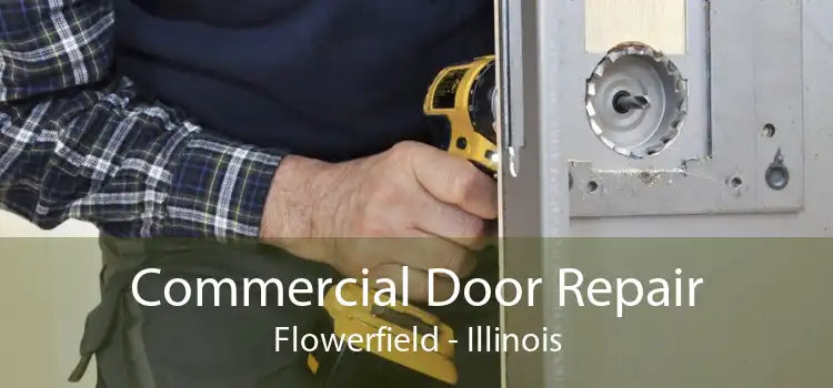 Commercial Door Repair Flowerfield - Illinois