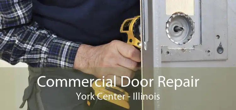 Commercial Door Repair York Center - Illinois