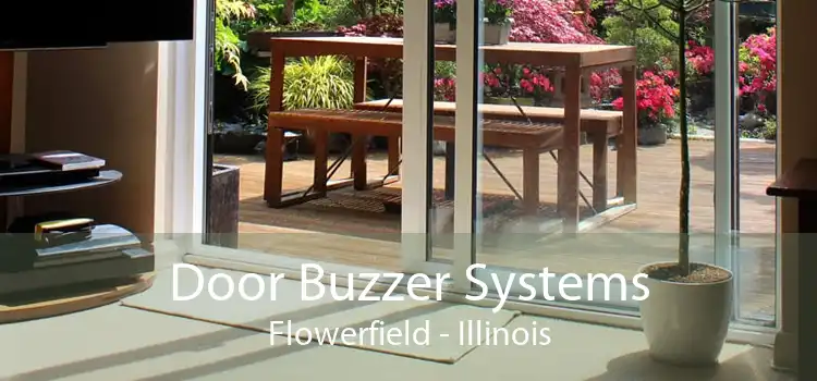 Door Buzzer Systems Flowerfield - Illinois