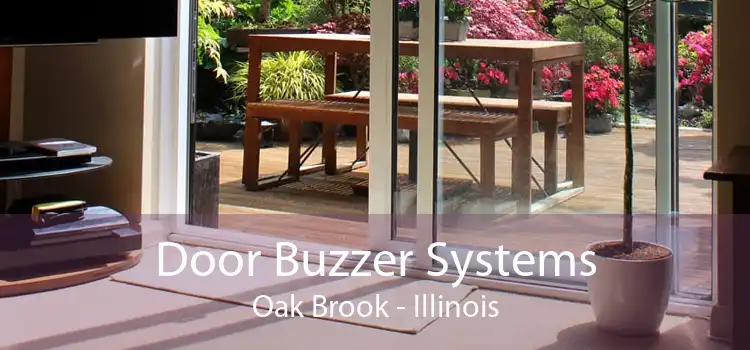 Door Buzzer Systems Oak Brook - Illinois