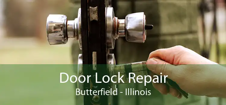 Door Lock Repair Butterfield - Illinois