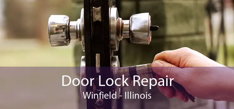 Door Lock Repair Winfield - Illinois