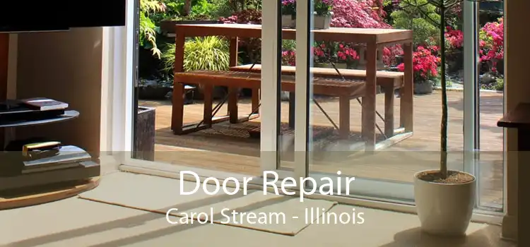 Door Repair Carol Stream - Illinois