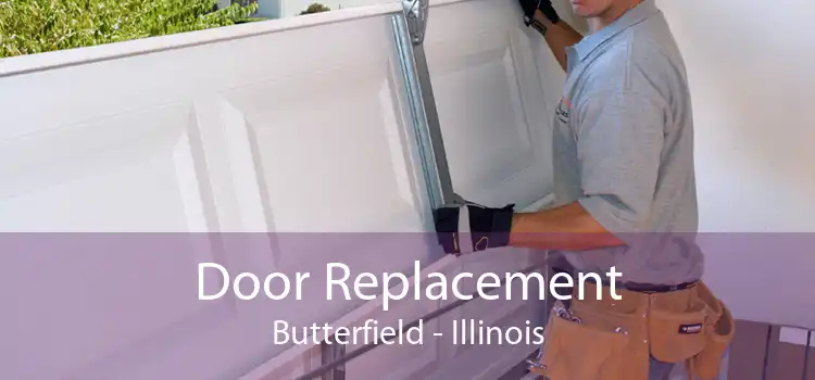 Door Replacement Butterfield - Illinois