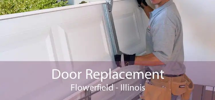 Door Replacement Flowerfield - Illinois