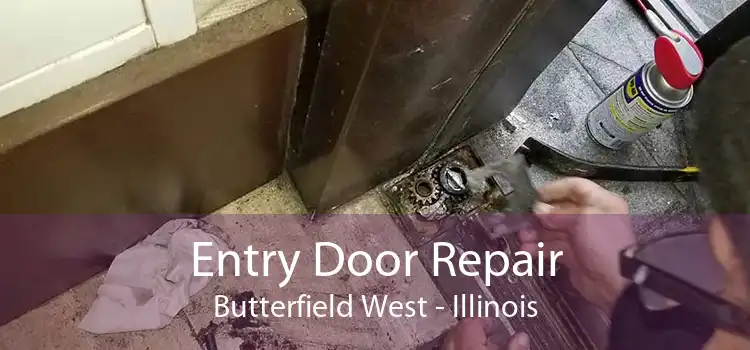 Entry Door Repair Butterfield West - Illinois