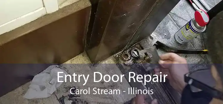 Entry Door Repair Carol Stream - Illinois