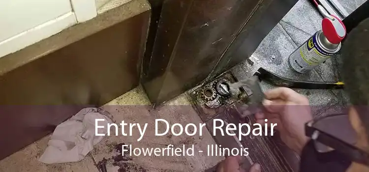 Entry Door Repair Flowerfield - Illinois