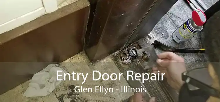 Entry Door Repair Glen Ellyn - Illinois