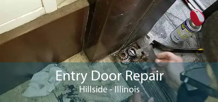 Entry Door Repair Hillside - Illinois