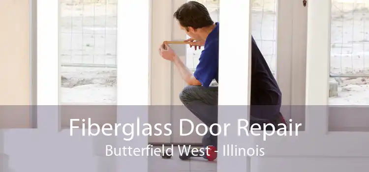 Fiberglass Door Repair Butterfield West - Illinois