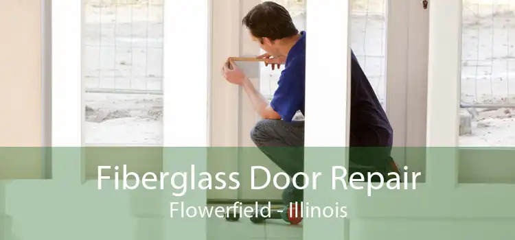 Fiberglass Door Repair Flowerfield - Illinois