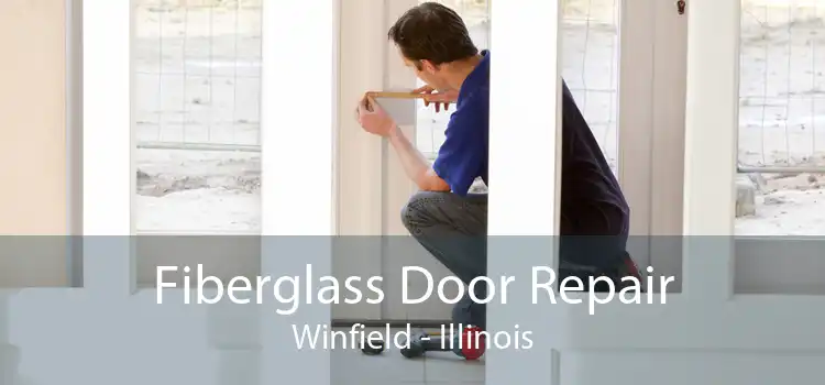 Fiberglass Door Repair Winfield - Illinois