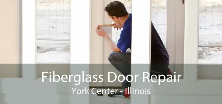 Fiberglass Door Repair York Center - Illinois