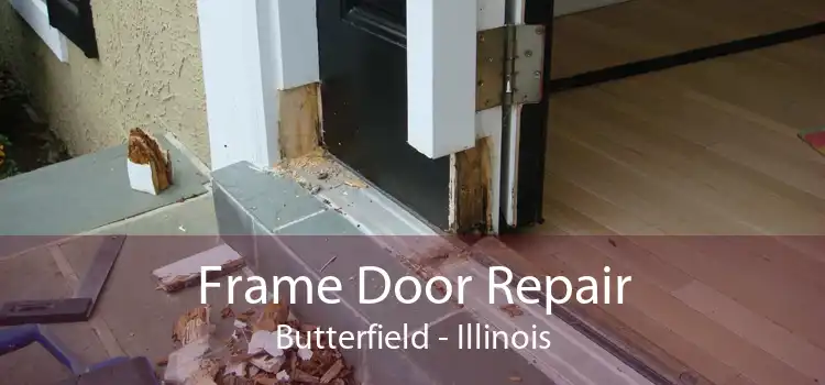 Frame Door Repair Butterfield - Illinois