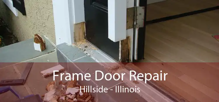 Frame Door Repair Hillside - Illinois