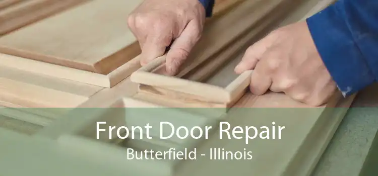 Front Door Repair Butterfield - Illinois