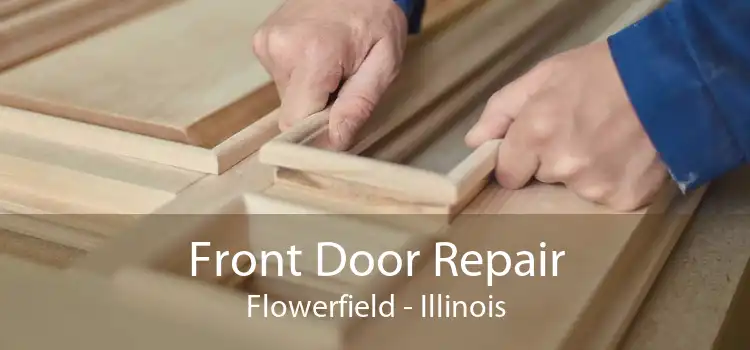 Front Door Repair Flowerfield - Illinois