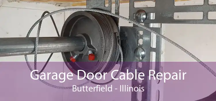 Garage Door Cable Repair Butterfield - Illinois