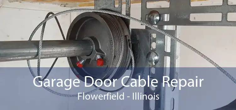 Garage Door Cable Repair Flowerfield - Illinois