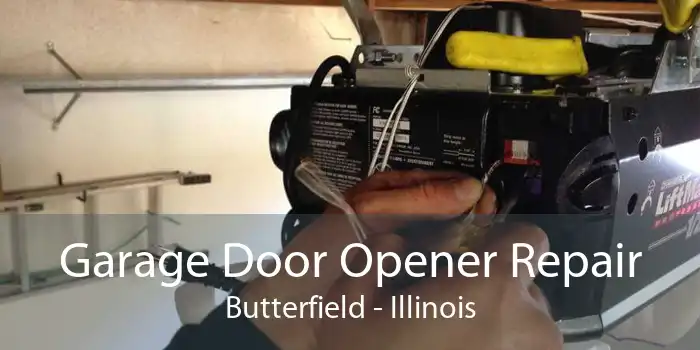 Garage Door Opener Repair Butterfield - Illinois