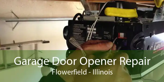 Garage Door Opener Repair Flowerfield - Illinois