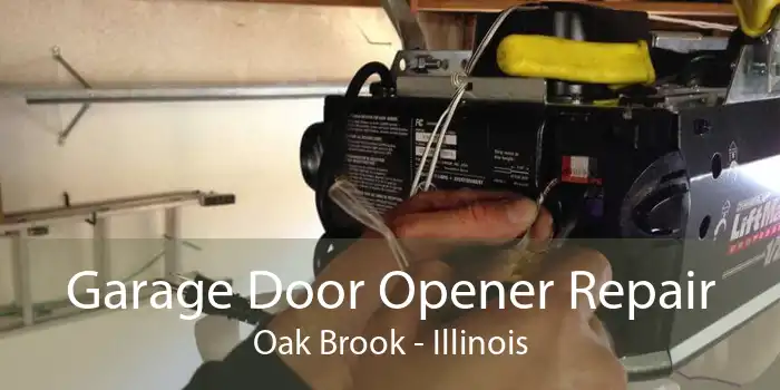 Garage Door Opener Repair Oak Brook - Illinois