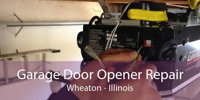 Garage Door Opener Repair Wheaton - Illinois