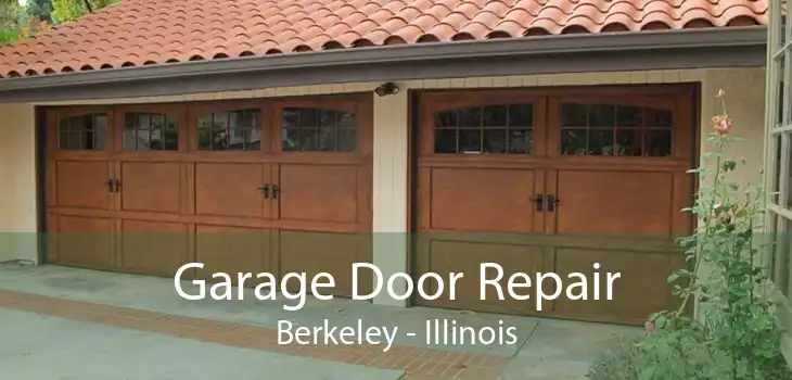 Garage Door Repair Berkeley - Illinois