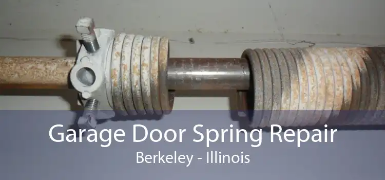 Garage Door Spring Repair Berkeley - Illinois