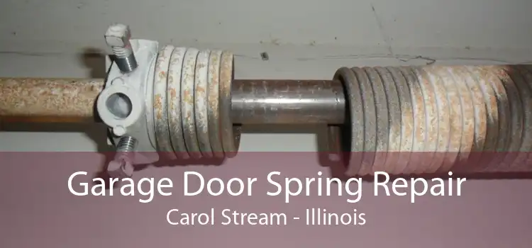 Garage Door Spring Repair Carol Stream - Illinois