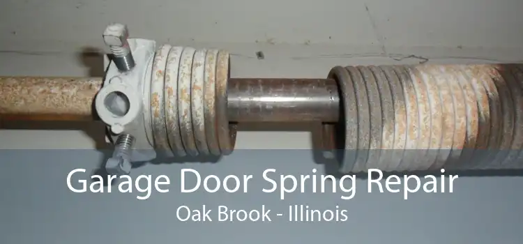 Garage Door Spring Repair Oak Brook - Illinois