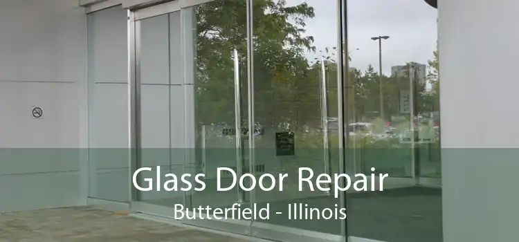 Glass Door Repair Butterfield - Illinois