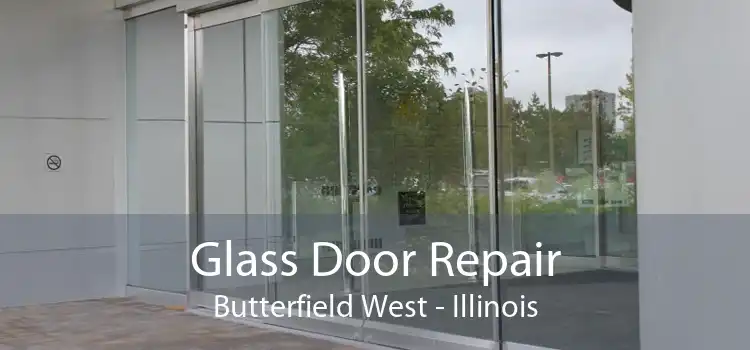 Glass Door Repair Butterfield West - Illinois