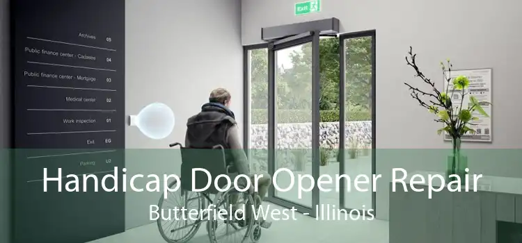 Handicap Door Opener Repair Butterfield West - Illinois