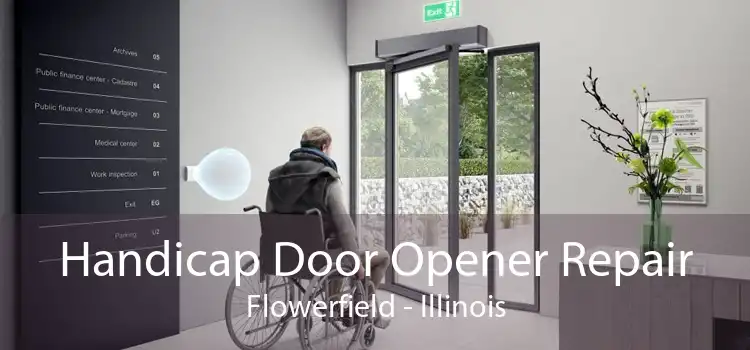 Handicap Door Opener Repair Flowerfield - Illinois