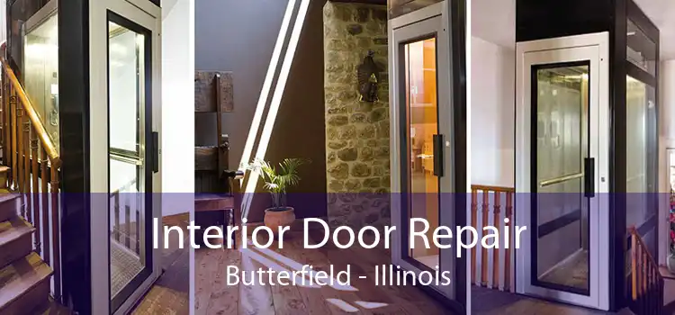 Interior Door Repair Butterfield - Illinois