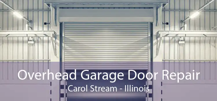 Overhead Garage Door Repair Carol Stream - Illinois