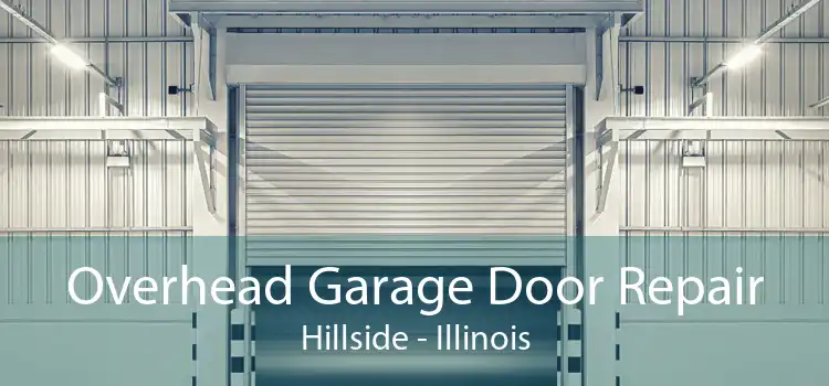 Overhead Garage Door Repair Hillside - Illinois