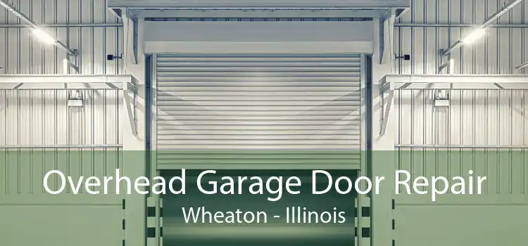 Overhead Garage Door Repair Wheaton - Illinois