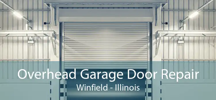 Overhead Garage Door Repair Winfield - Illinois