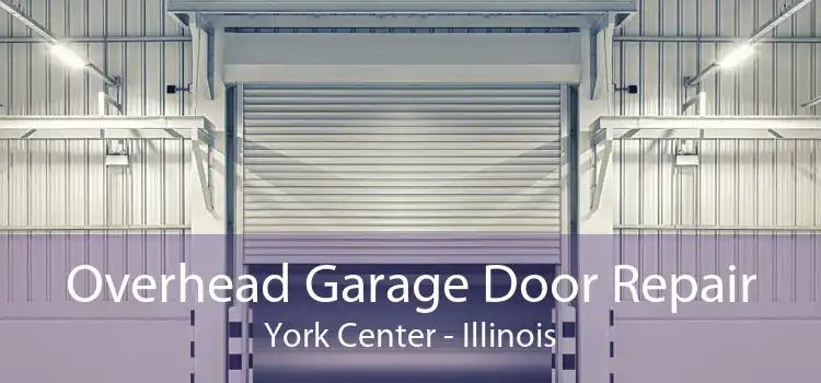 Overhead Garage Door Repair York Center - Illinois