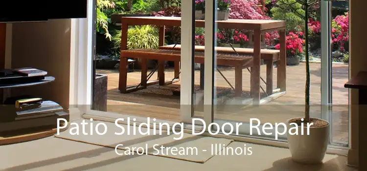 Patio Sliding Door Repair Carol Stream - Illinois