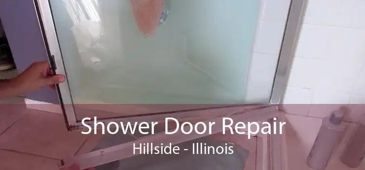 Shower Door Repair Hillside - Illinois