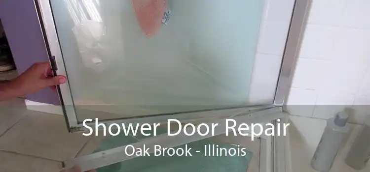 Shower Door Repair Oak Brook - Illinois