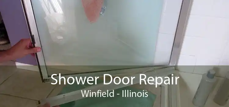 Shower Door Repair Winfield - Illinois